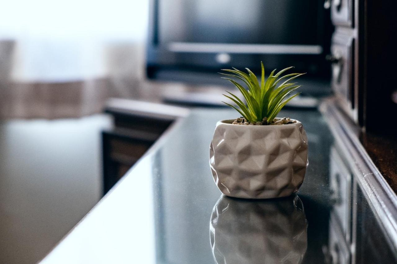 Margaritas Eco Haus Otel Querétaro Dış mekan fotoğraf